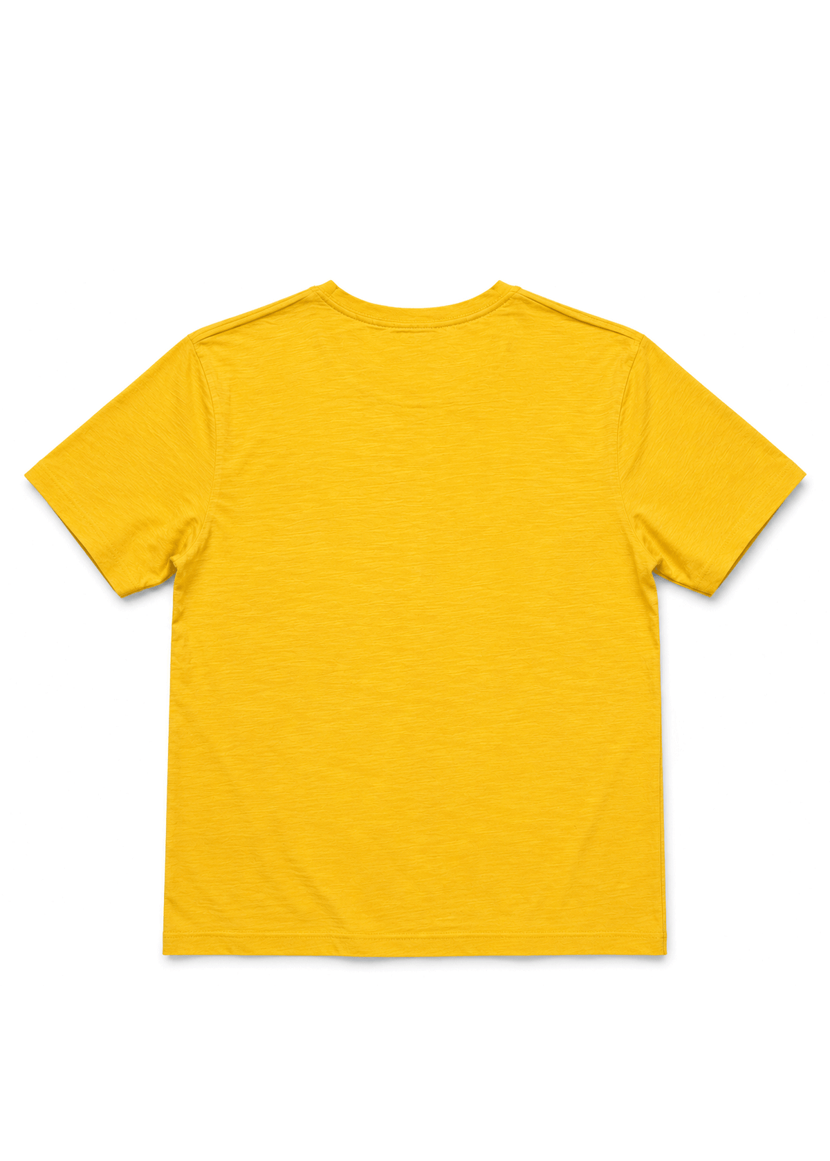 T-Shirt 100% Cotone Uomo – Vestibilità Classica | TheOne