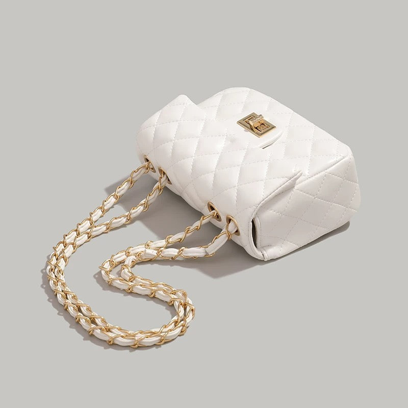 Mini Borsa Donna Trapuntata con Catena – Elegante e Compatta, Stile Italiano 9915(19×8X14cm)