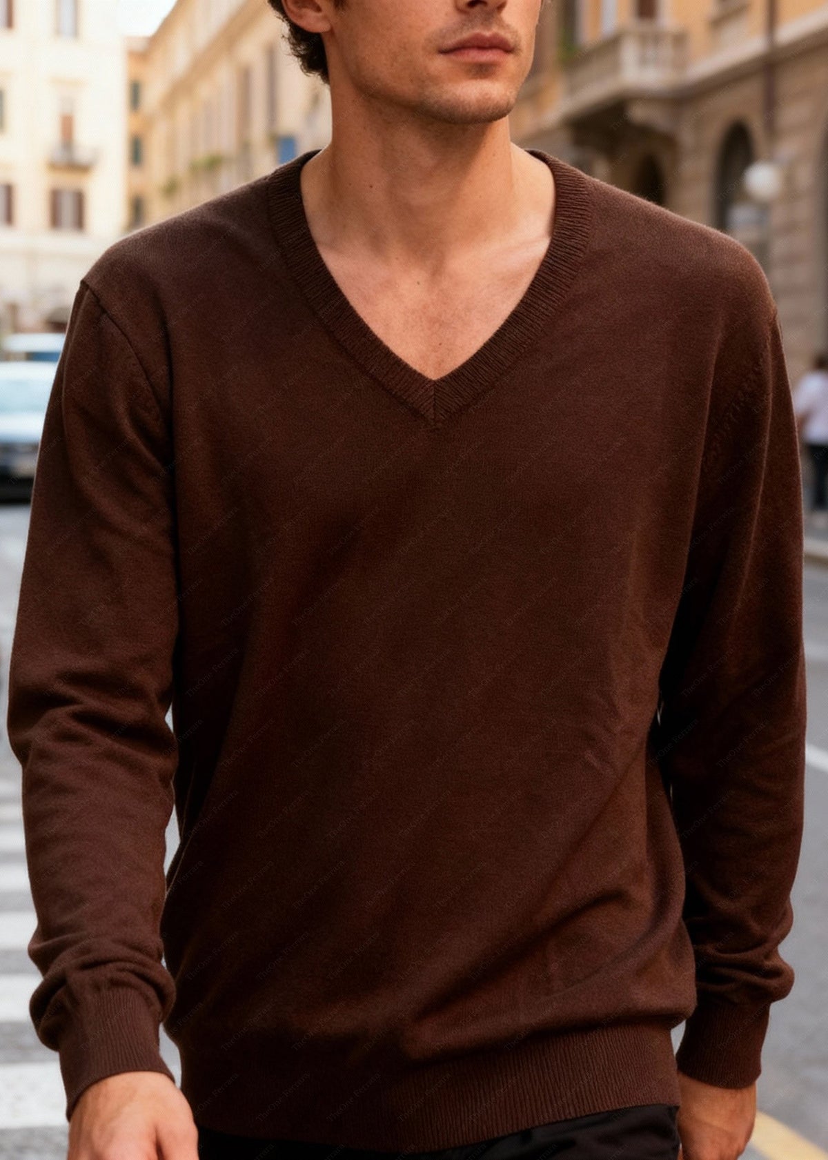 Maglione Uomo Scollo a V in Viscosa - Pullover Elasticizzato Elegante 35607 Caffe