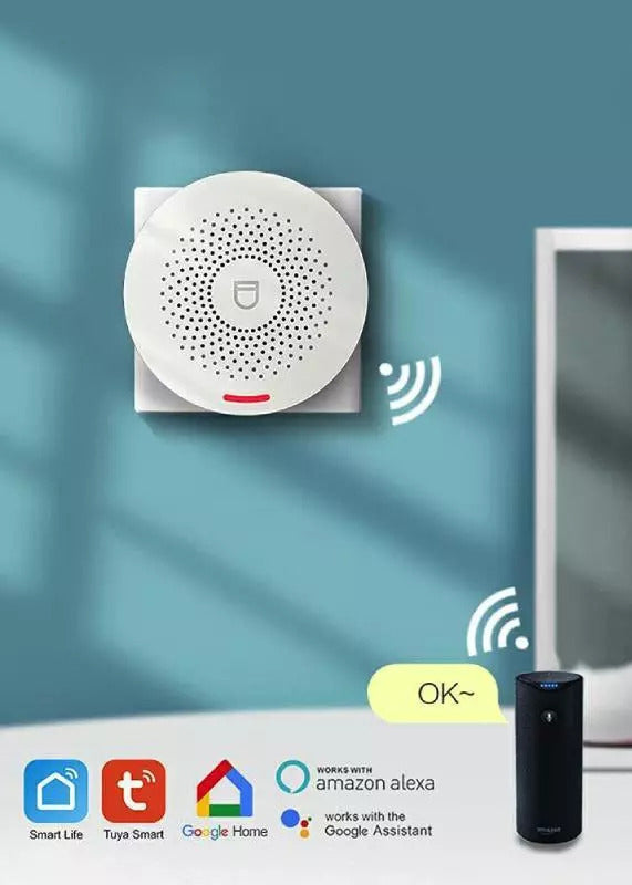 Kit Allarme Antifurto WiFi Casa | Alexa & Google | App Tuya | WIBY