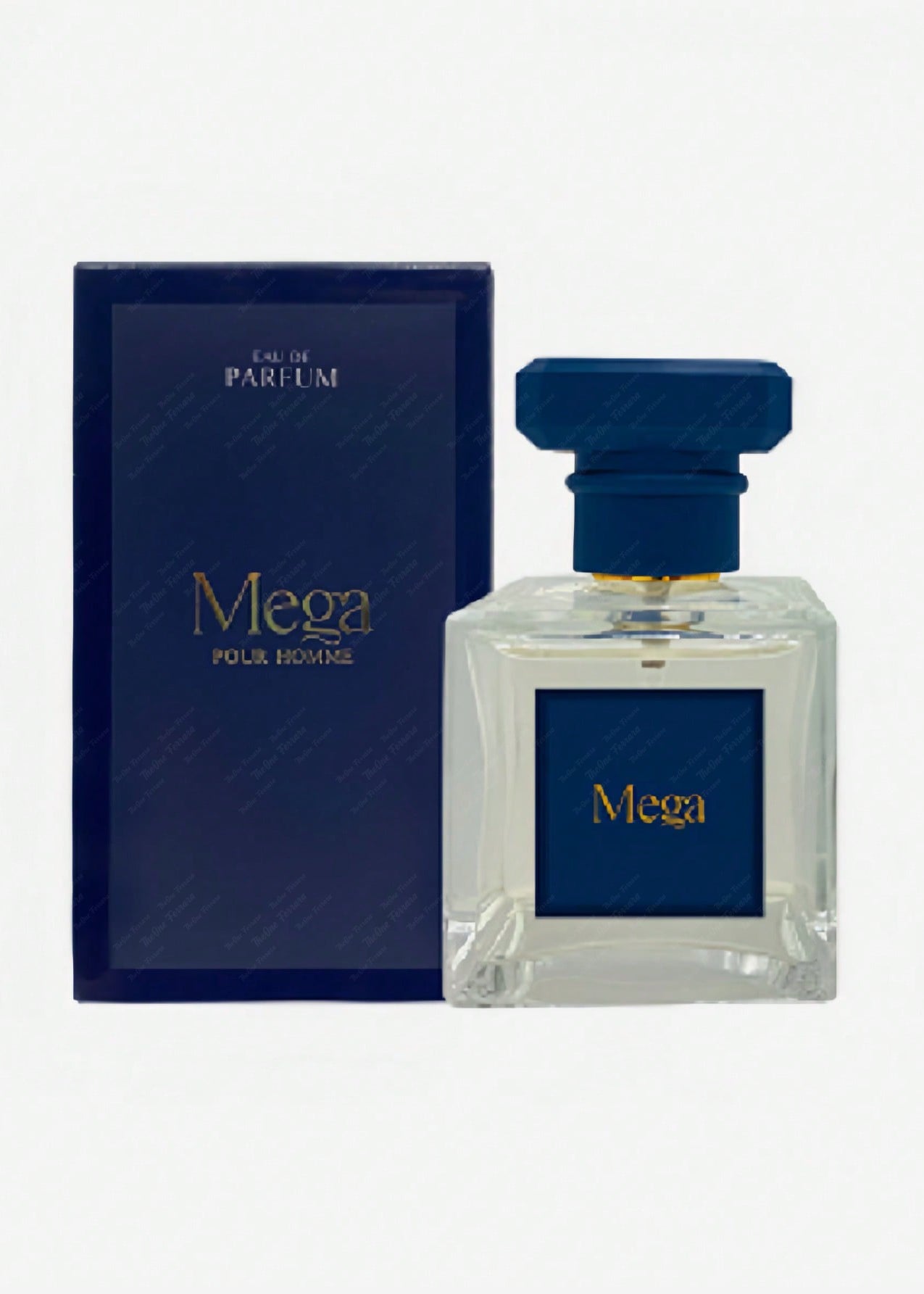 Mega pour homme eau de parfum pour homme 50ml c 1.7 fl.oz 80% vol.